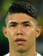 นิโคลัส เฮอร์นานเดซ