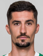 Koscelnik M.