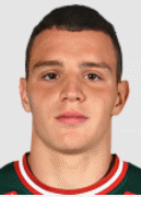 Radikovsky D.