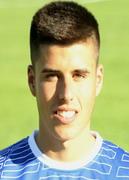 ลูวิส มิลเนอ