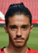 อามีร์ อาร์ลี